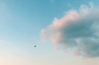 poluchit besplatno bitkoin airdrop na zksync bez kyc