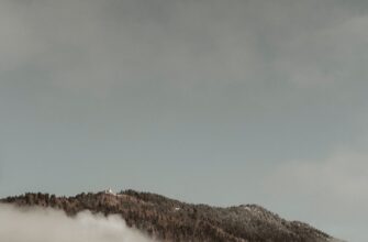 poluchit besplatno usdt airdrop na starknet
