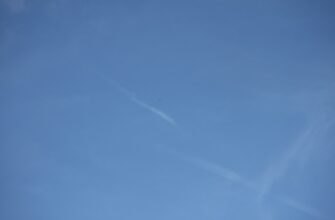poluchit besplatno zk airdrop na polygon masshtabnyj