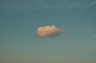 poluchit ton airdrop na binance masshtabnyj