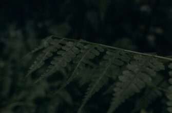 poluchit ton airdrop na zksync masshtabnyj 1