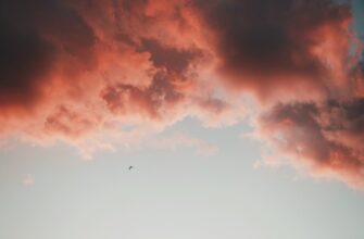 poluchit usdt airdrop na blast proverennyj