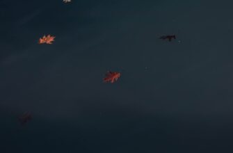 poluchit zk airdrop na arbitrum