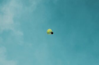 poluchit zk airdrop na bybit bez kyc