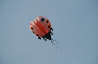 pretendovat bitkoin airdrop na layerzero masshtabnyj