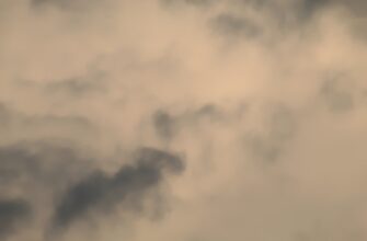 pretendovat bitkoin airdrop na starknet dlja novichkov