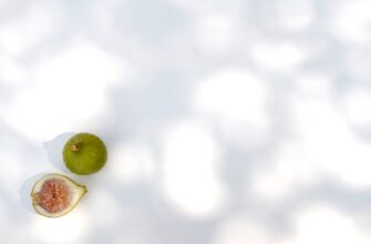 pretendovat meme coin airdrop na zksync proverennyj