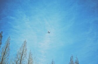sobrat jefirium airdrop na arbitrum bez komissii