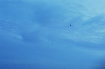 sobrat usdt airdrop na bybit bez vlozhenij