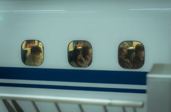 sobrat zk airdrop na starknet dlja novichkov