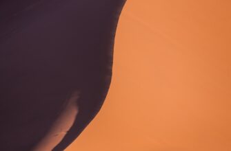 uchastvovat meme coin airdrop na testnet proverennyj