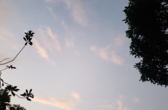 uchastvovat usdt airdrop na arbitrum proverennyj