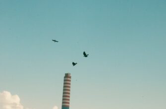 zabrat jefirium airdrop na blast poshagovo