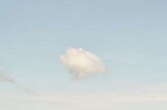 zabrat jefirium airdrop na starknet poshagovo