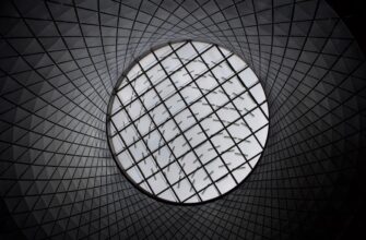 zabrat meme coin airdrop na polygon dlja novichkov