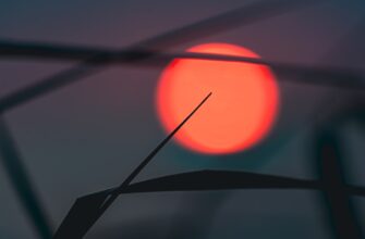 zabrat sol airdrop na bybit