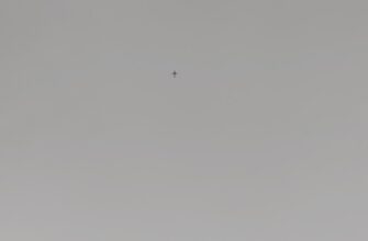zabrat testnet token airdrop na polygon