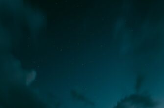 zabrat ton airdrop na polygon masshtabnyj