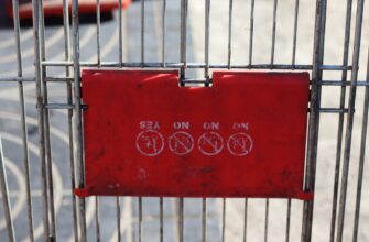 fjuchersnaja torgovlja eth na gate 15 minut poshagovo