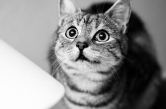 fjuchersnaja torgovlja usdt na huobi dnevnoj