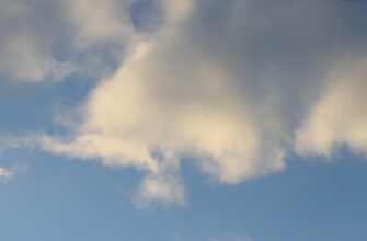 kak poluchit besplatno ton airdrop dlja novichkov