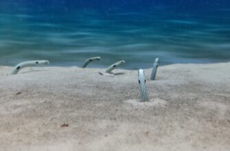klast na depozit bnb na kraken staking gibkij depozit