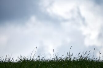 kupit bitkoin za belorusskie rubli nalichnymi v almaty poshagovo