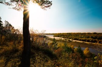 obmenjat sol za rubli nalichnymi v tashkente nizkaja komissija