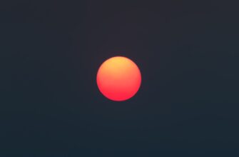 passivnyj dohod sol na beefy 2025