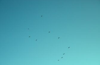 poluchit besplatno jefirium airdrop na binance poshagovo