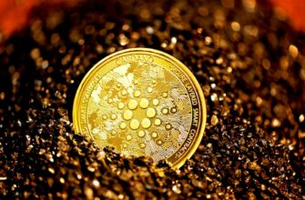 poluchit besplatno meme coin airdrop na layerzero proverennyj