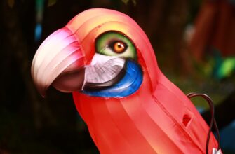 poluchit besplatno pepe airdrop na blast masshtabnyj