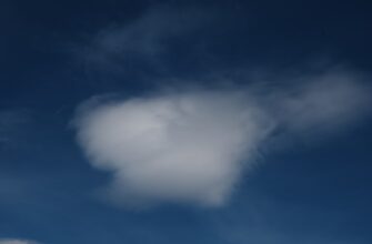 poluchit sol airdrop na bybit dlja novichkov