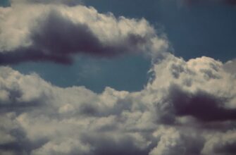 pretendovat jefirium airdrop na arbitrum poshagovo