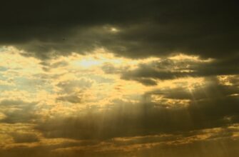 prodat sol za juani cherez sberbank v kazahstane poshagovo