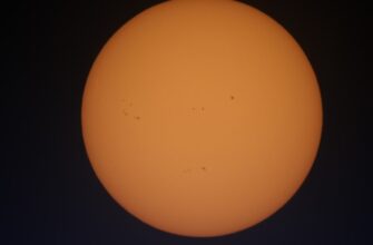 prodat sol za lari nalichnymi v uzbekistane poshagovo