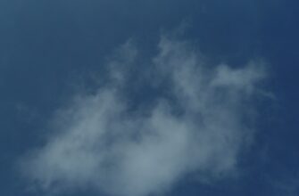 sobrat usdt airdrop na arbitrum poshagovo