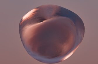 uchastvovat meme coin airdrop na polygon
