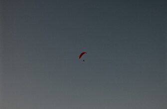 uchastvovat testnet token airdrop na binance bez komissii