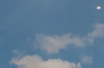 uchastvovat testnet token airdrop na polygon bez vlozhenij