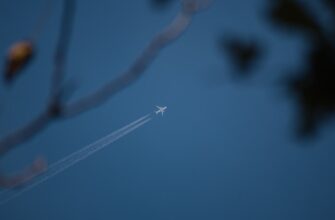 zabrat bitkoin airdrop na bybit dlja novichkov