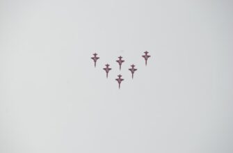 zabrat pepe airdrop na arbitrum bez kyc