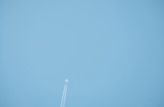 zabrat testnet token airdrop na arbitrum poshagovo