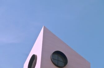 zabrat ton airdrop na polygon