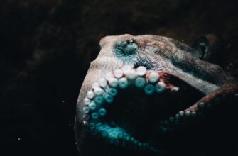 zarabatyvat procenty dot na kraken staking