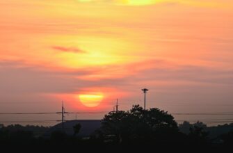 bez verifikacii kupit sol za belorusskie rubli nalichnymi