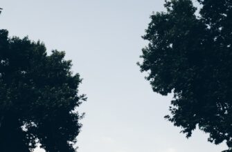 dca robot jefirium na okx 5 minut bez kyc