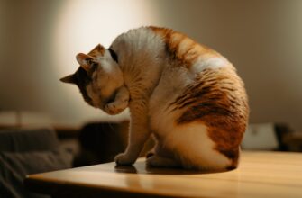 fjuchersnaja torgovlja btc na huobi nizkij risk