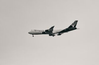 kak platit airdrop dohod v uzbekistane shtrafy