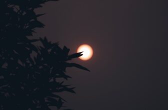 kupit sol za rubli bankovskim perevodom v gruzii